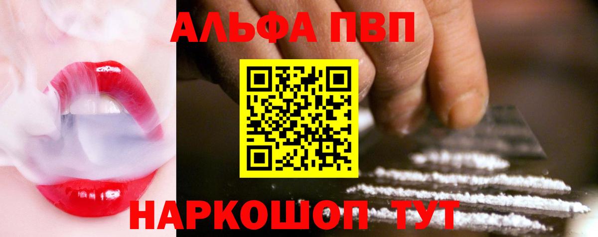 A PVP СК КРИС Гай